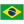 Português